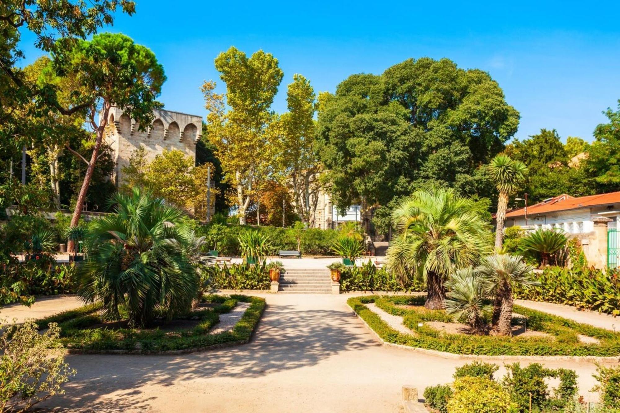 Le Triompha Montpellier Proche Arc De Triomphe Apartment ภายนอก รูปภาพ